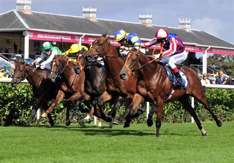 horse betting